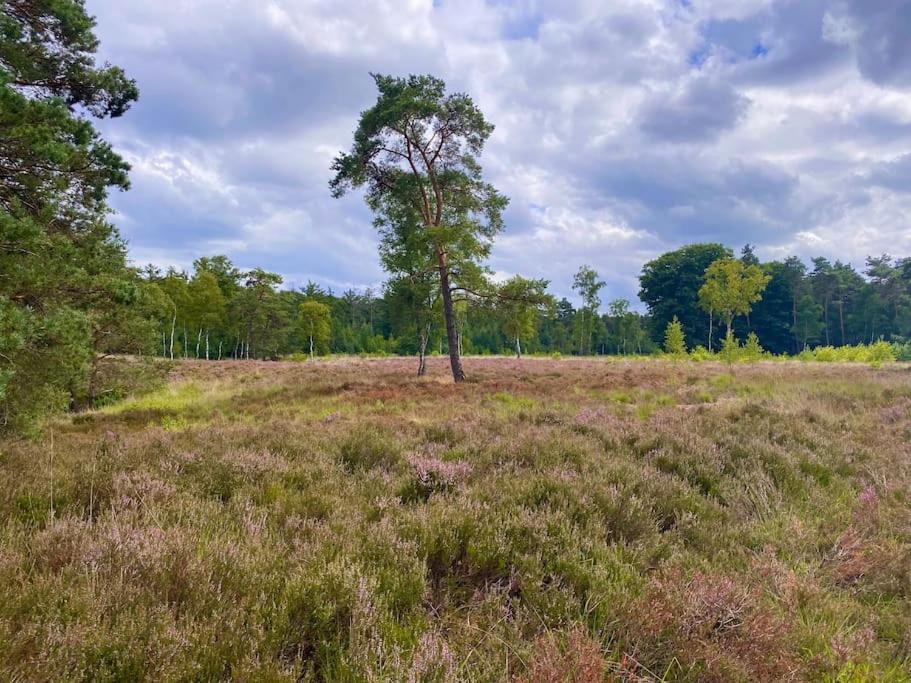 Knus Huisje Op Kindvriendelijk Park Met Zwembad Otterlo Exterior foto